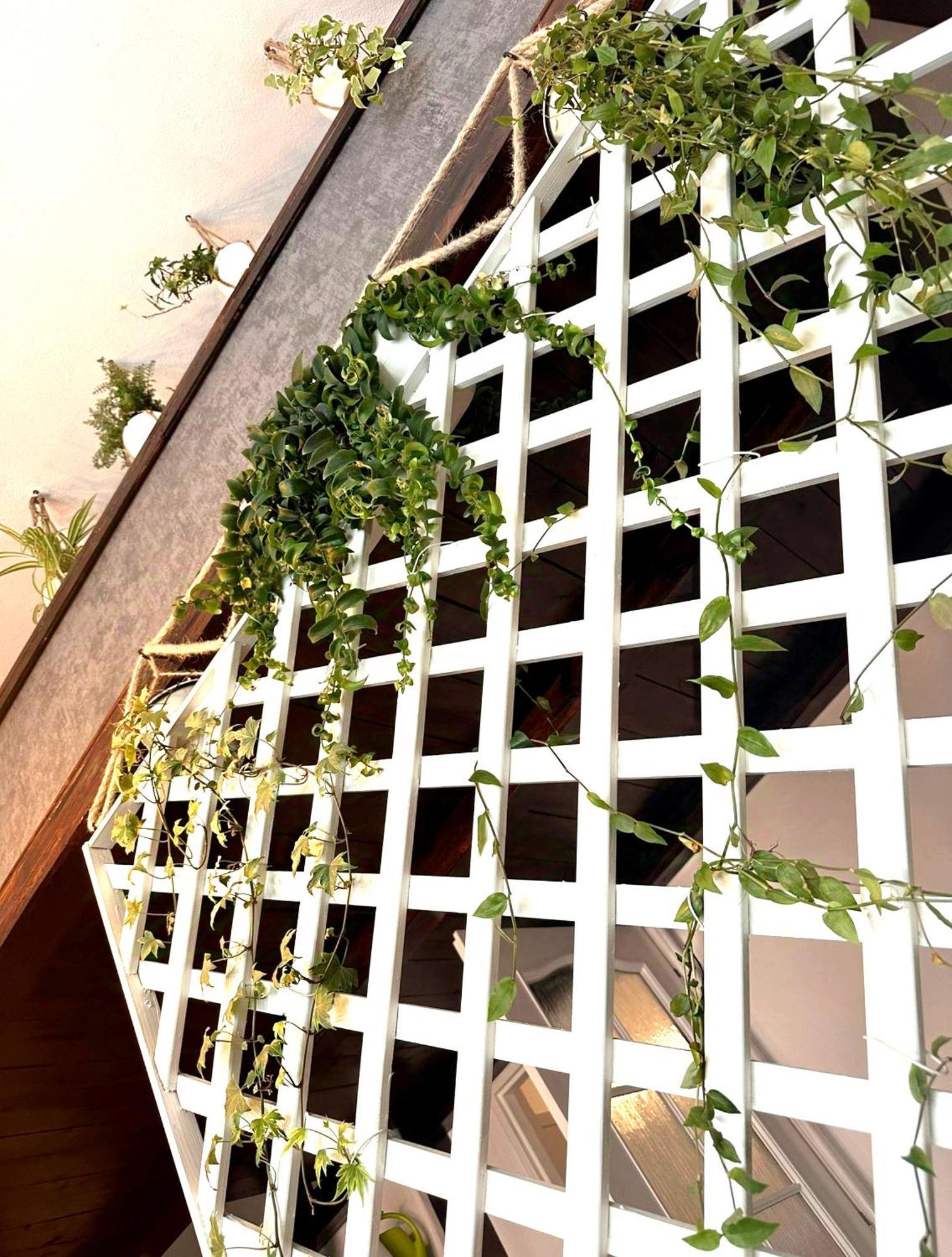 Green Garden Decin Exterior photo